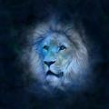 Horoscope lion 1280